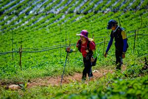 BIB: 
                            <button type="button" onclick="openModal(19164660)" class="btn btn-primary btn-sm float-right btn-popup" data-toggle="modal" data-target=".modal-high-quality">
                        <i class="fas fa-shopping-cart"></i> Add to Cart
                    </button>
                                            <button type="button" onclick="isThisMe(19164660, true)" class="btn btn-success btn-sm float-right btn-popup btn-isme hidden" data-toggle="tooltip" data-placement="bottom" title="นี่คือรูปของคุณใช่ไหม คลิกที่นี่เพื่อเอาเข้าอัลบั้ม">
                        <i class="fas fa-plus"></i> Add to album
                    </button>
                    <button type="button" onclick="isThisMe(19164660, false)" class="btn btn-warning btn-sm float-right btn-popup btn-isnotme hidden">
                        <i class="fas fa-ban"></i> Remove from album
                    </button>